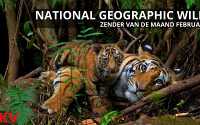 National Geographic Wild zender van de maand februari 2022